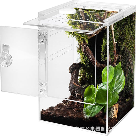 Acrylic Jumping Spider Enclosure with Front Opening