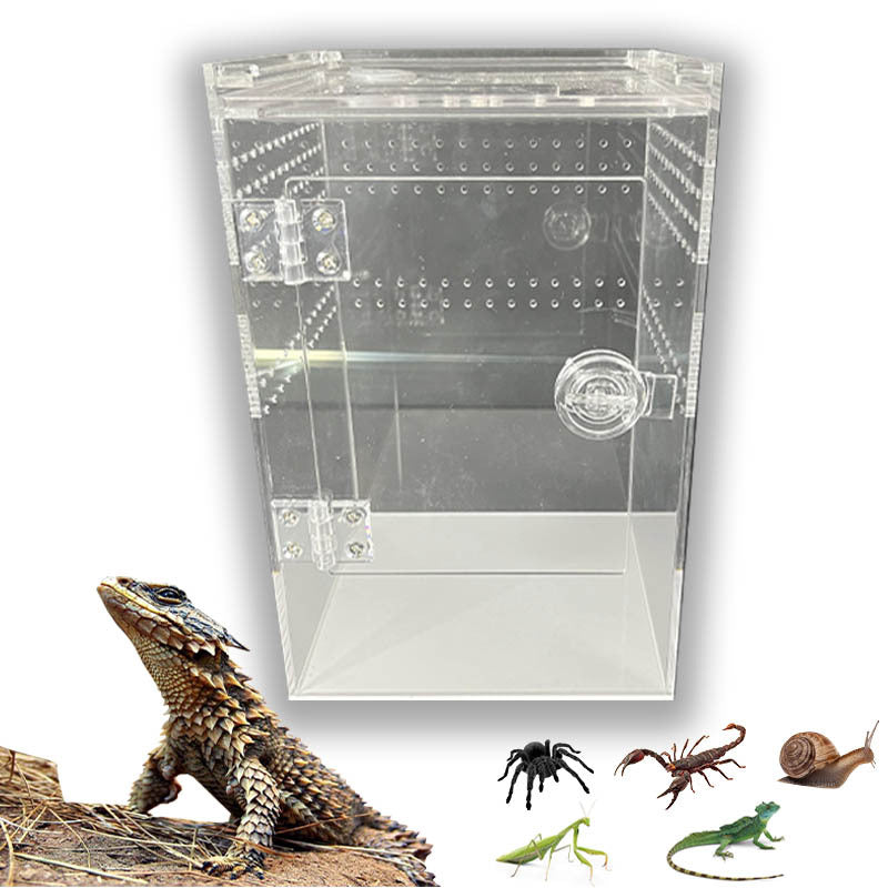 Acrylic Jumping Spider Enclosure with Front Opening