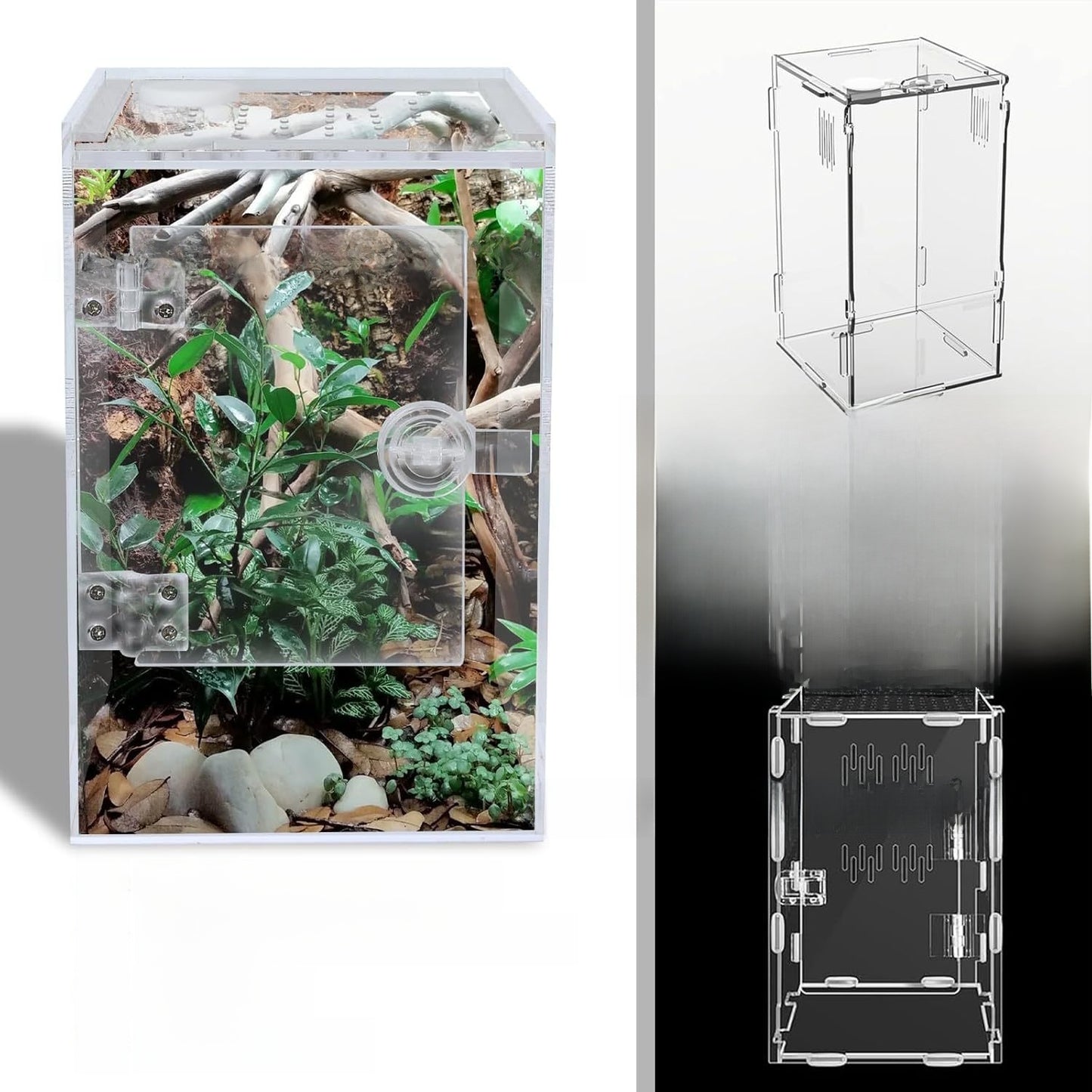Acrylic Jumping Spider Enclosure with Front Opening
